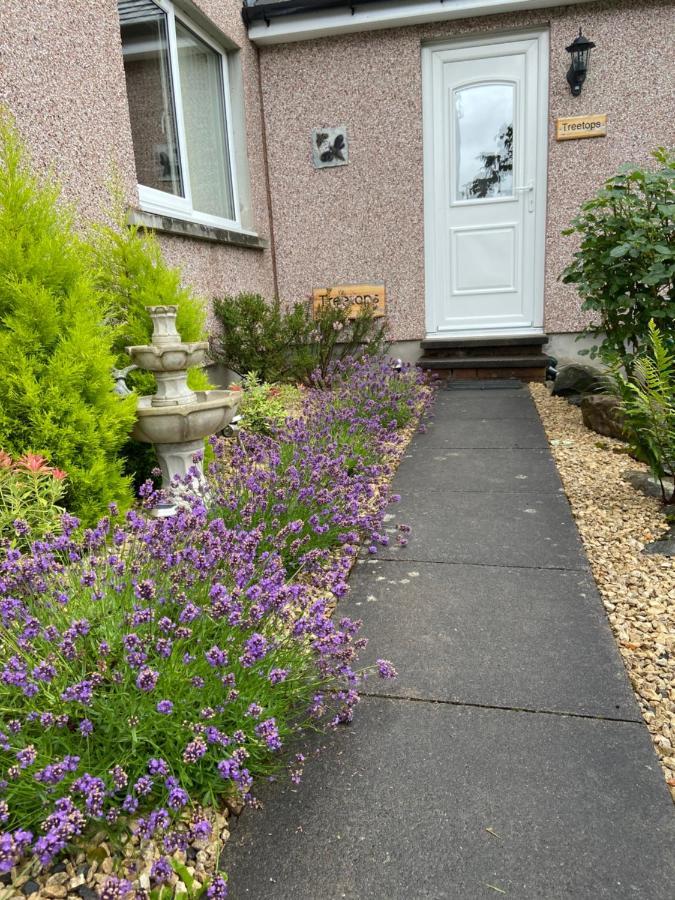 Treetops Bungalow Loch Ness Drumnadrochit Exterior photo